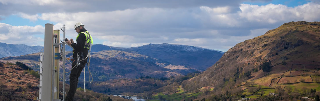 Your Trusted Partner